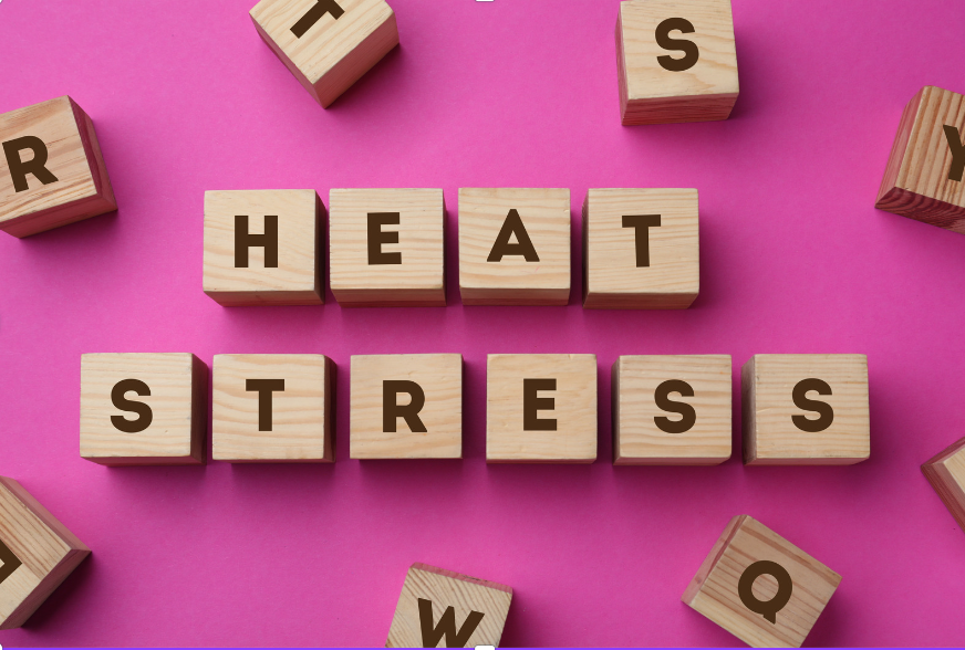 Uncovering the Hidden Impact of Heat Stress: Insights from a New Study